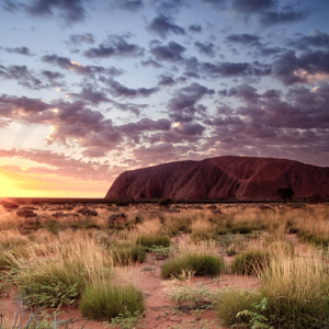 Australia: North Queensland to Uluru Trip