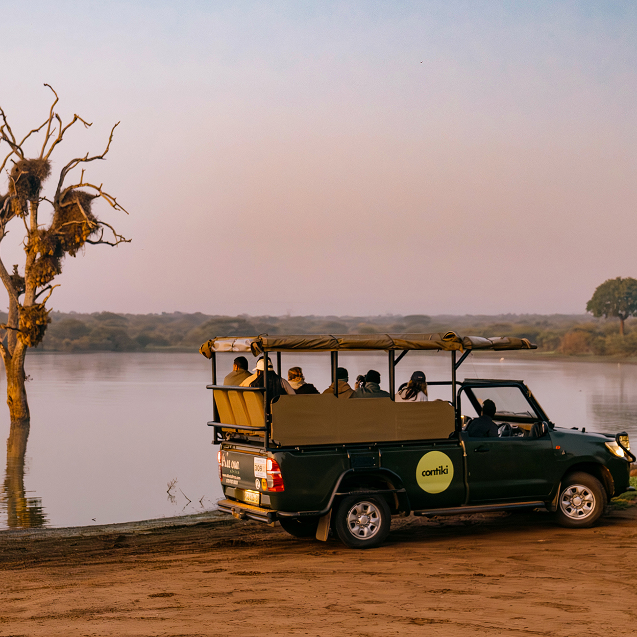 Cape, Safari and Falls Trip