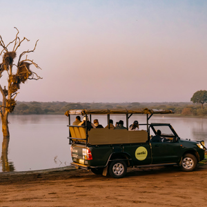 Cape, Safari and Falls Trip