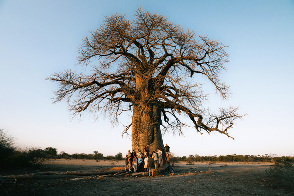 Tanzania Adventure