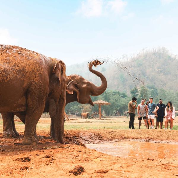 tourhub | Contiki | Northern Thai Highlights 