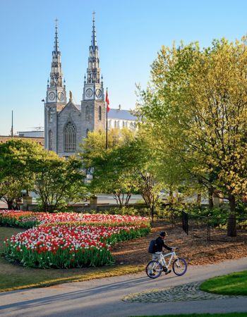 Notre-Dame Cathedral Basilica in Ottawa, Canada