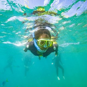 Cairns Explorer Trip