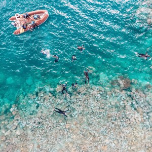 Great Barrier Reef Highlights with Sailing Trip
