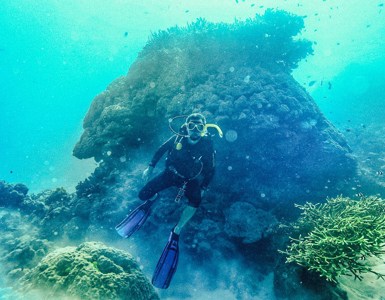 Learn To Dive