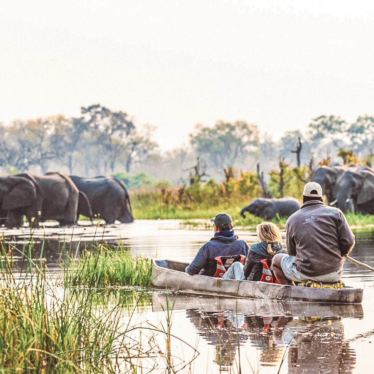Southern Africa Safari