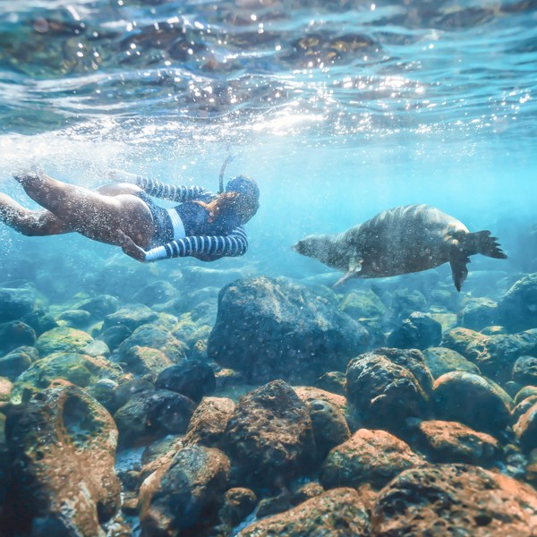 12-Day Ecuador and Galapagos Islands Tour from Quito: Tena, Baños, Santa Cruz Island, Isabela Island, San Cristobal Island | 11 Breakfasts, 6 Dinners