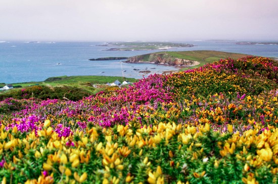 Amazing Ireland