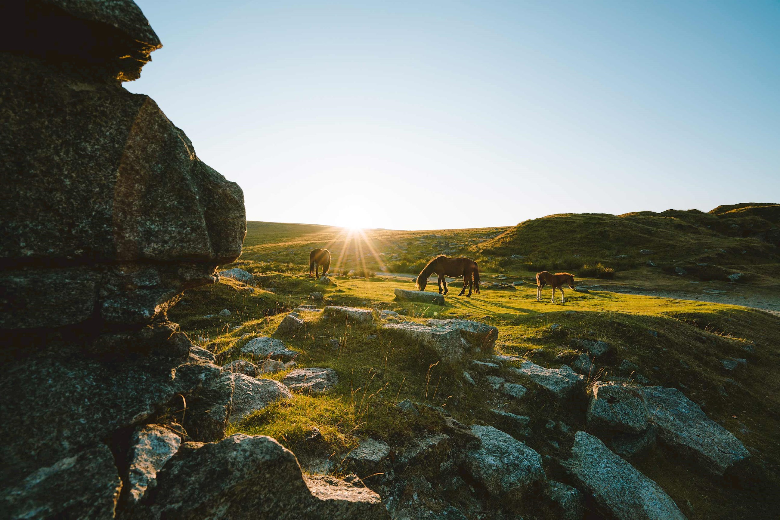 Best of Devon and Cornwall Guided Tour