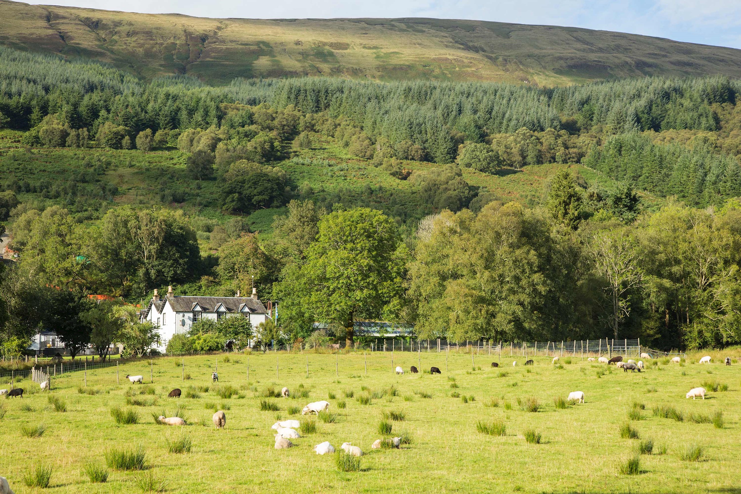 tourhub | Trafalgar | Best of Ireland and Scotland 