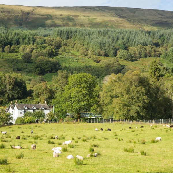 Best Castle Tours in England & Scotland | Tours4fun