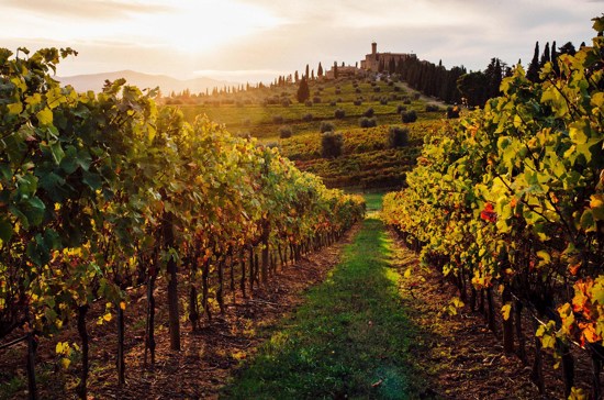 Rome and Tuscan Highlights