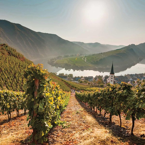 13-Day Germany and Austria Tour from Frankfurt: Berlin, Rothenburg, Munich, Salzburg and Vienna