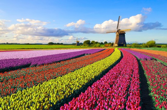 Best of Holland