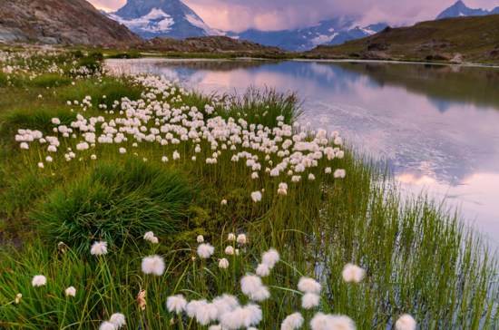 Switzerland and Austria