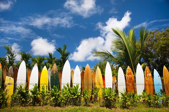 Best of Hawaii