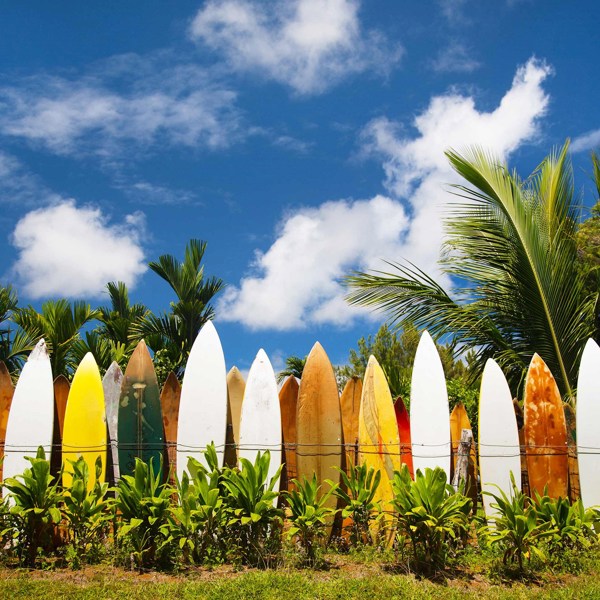 10-Day Best of Hawaii Tour from Honolulu to Maui: Pearl Harbor and Hawaii Volcanoes National Park | 1 Country and 11 Cities | 9 Breakfasts, 1 Lunch, 4 Dinners