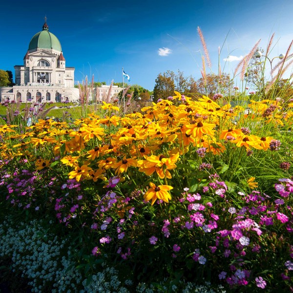 【Toronto In/Out】9-Day Best of Eastern Canada Tour from Toronto: Ottawa, Niagara Falls and Québec | 1 Country and 6 Cities | 8 Breakfasts, 2 Lunches, 2 Dinners