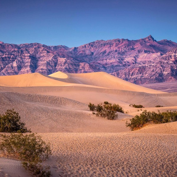 America's Great Desert National Parks  End Phoenix