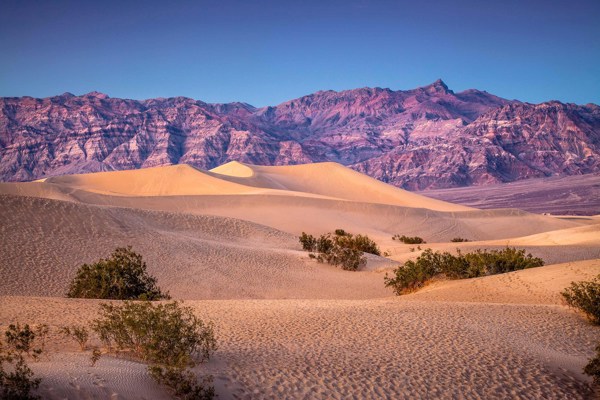 America's Great Desert National Parks  End Tucson