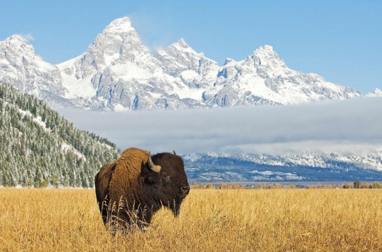 National Park Wonders