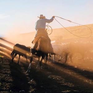 Western Frontiers end Rapid City Guided Tour
