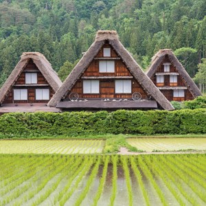 Splendors of Japan, celebrate The Takayama Festival Guided Tour