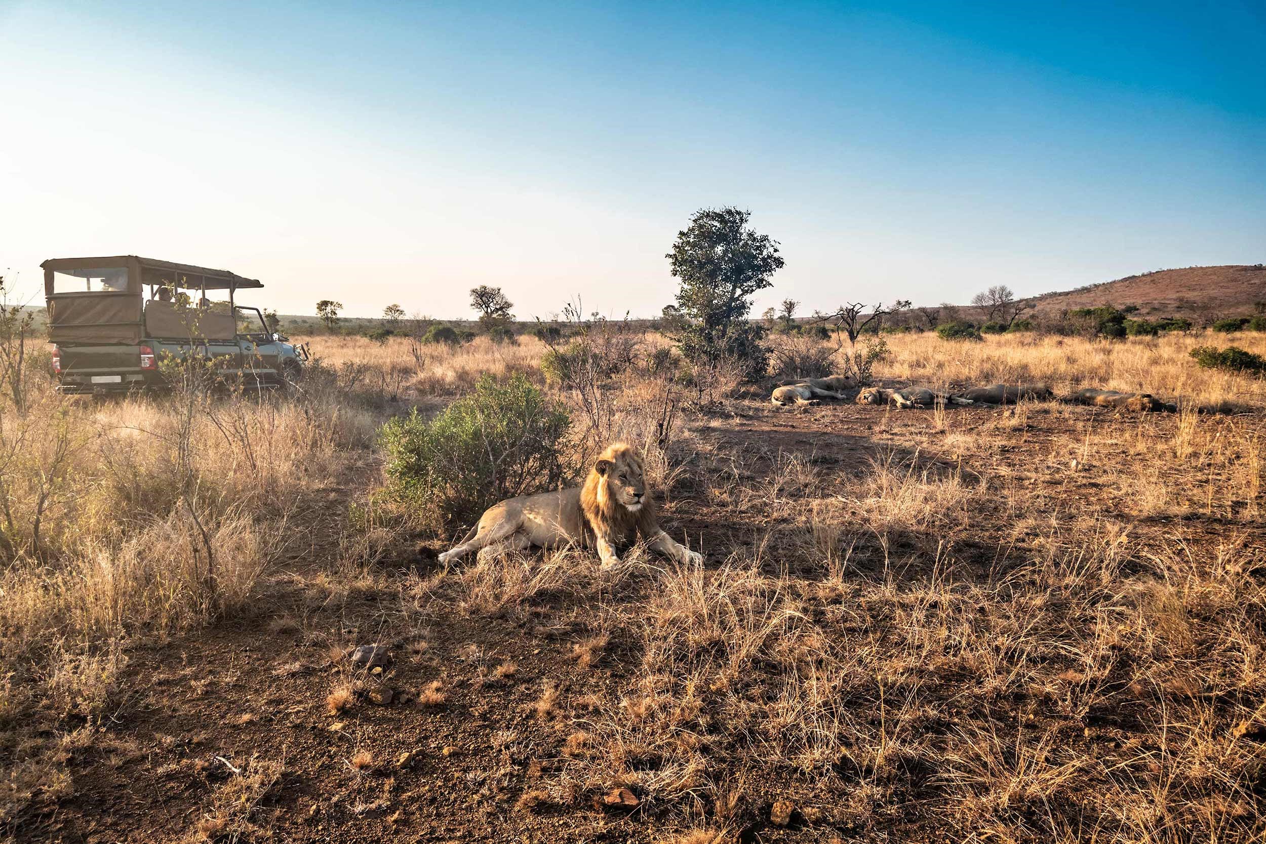 tourhub | Trafalgar | Best of South Africa with Victoria Falls 