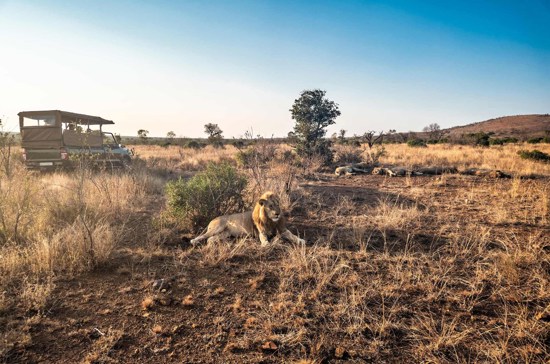 Best of South Africa