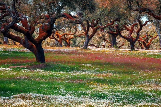 Treasures of Spain & Portugal – End in Madrid