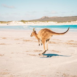 Australian Highlights Guided Tour