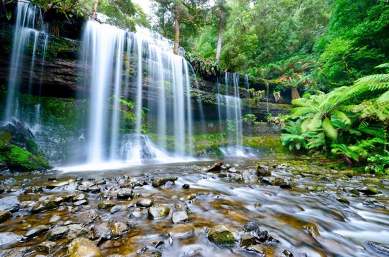 Perfect Tasmania