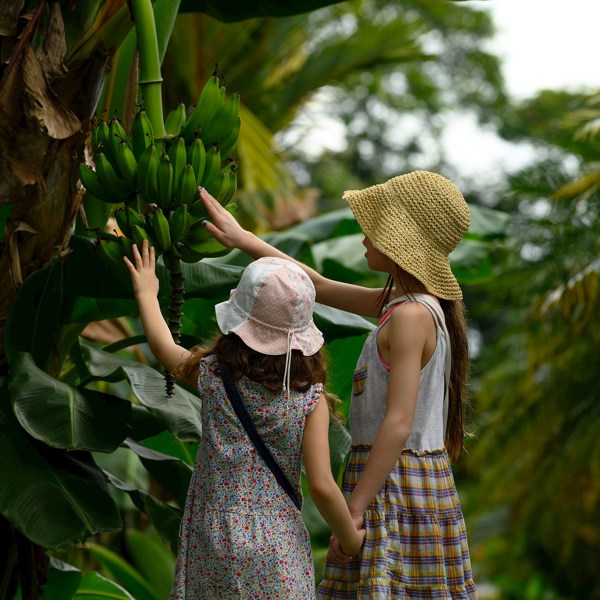 8-Day Costa Rica Family Tour from San Jose: Tortuguero, Arenal and Manuel Antonio National Park | 1 Country and 8 Cities | 7 Breakfasts, 4 Lunches, 5 Dinners