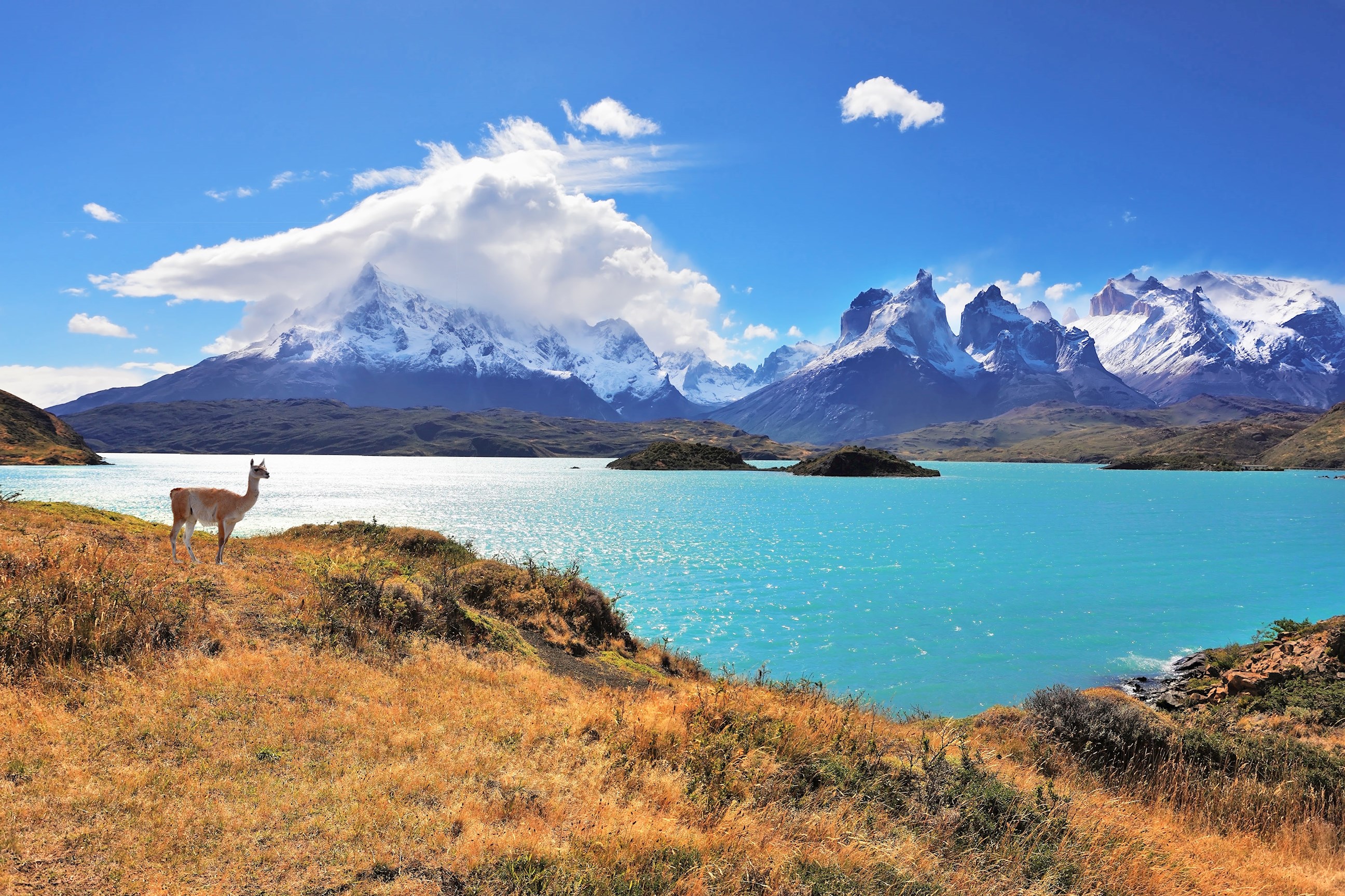 tourhub | Trafalgar | Wonders of Patagonia 