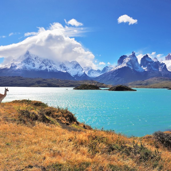 11-Day Wonders of Patagonia from Buenos Airesi: Ushuaia, El Calafate and Puerto Natales | 2 Countries and 10 Cities | 10 Breakfasts, 3 Lunches, 4 Dinners