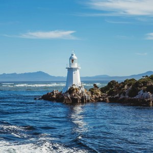 Tassie's Parks and Nature Guided Tour