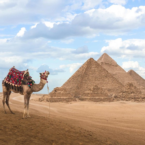 9-Day Egypt Tour including Nile Cruise: Valley of the Kings, Pyramid of Cheops, High Dam, Kom-Ombo Temple and Luxor Museum