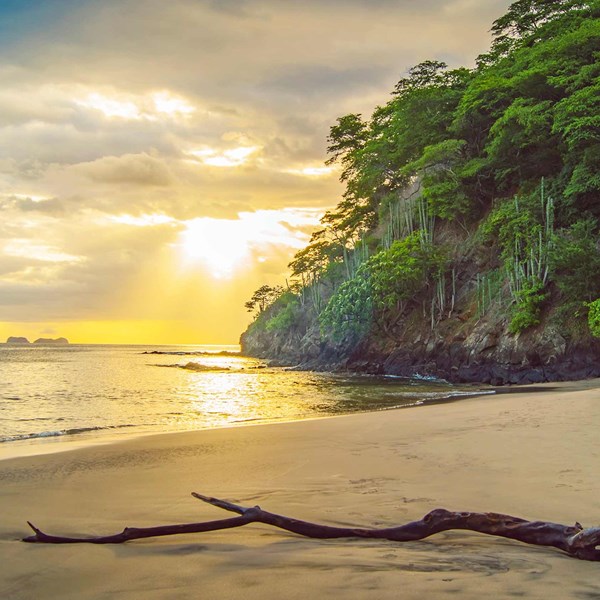 tourhub | Costsaver | Costa Rica Adventure with Tortuguero and Guanacaste Extensions | VRIGTZM20