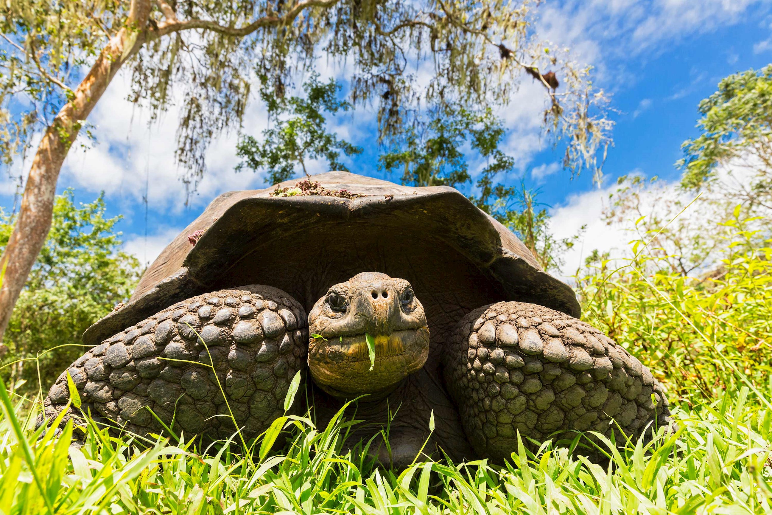 tourhub | Trafalgar | Highlights of Peru with Galápagos Legend North and Central Cruise 