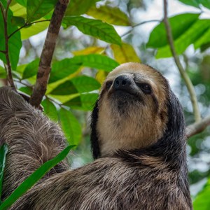 Highlights of Peru with Peruvian Amazon Guided Tour