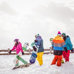 Group of travellers skiing