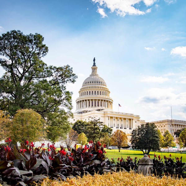8-Day US History Tour from Washington, D.C.: Williamsburg and Philadelphia | 1 Country and 8 Cities | 7 Breakfasts, 1 Lunch, 3 Dinners