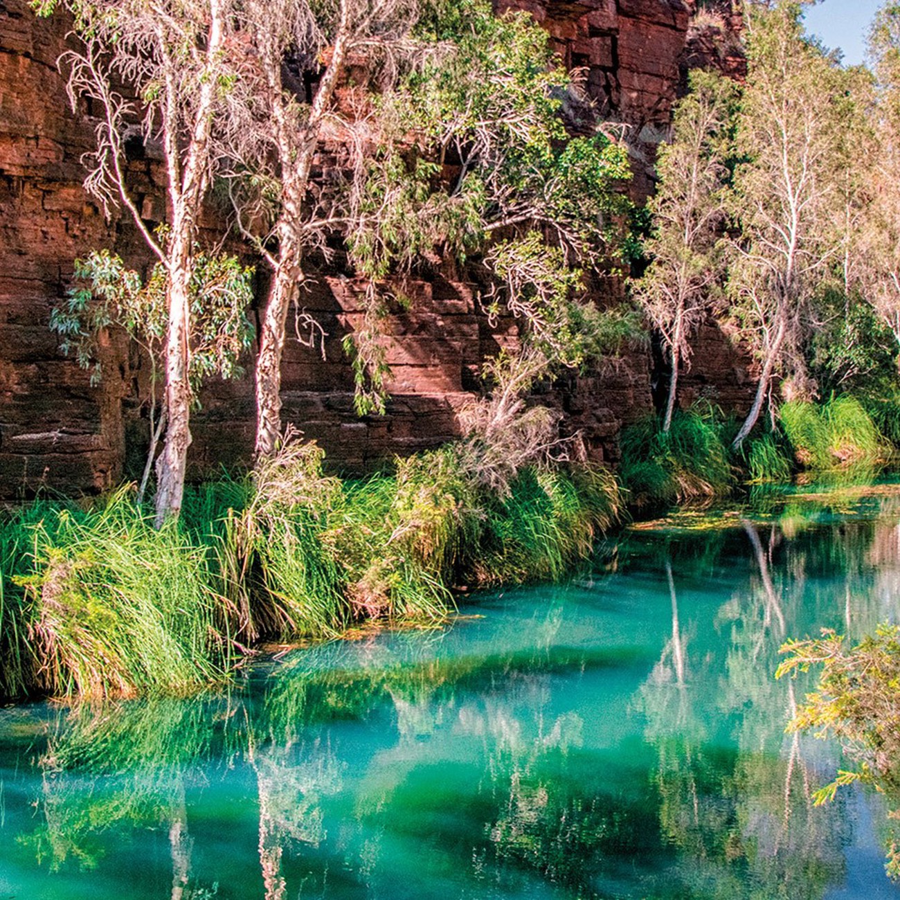 Wonders of the Pilbara and West Coast