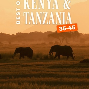 Best of Kenya and Tanzania 35 to 45 Tour