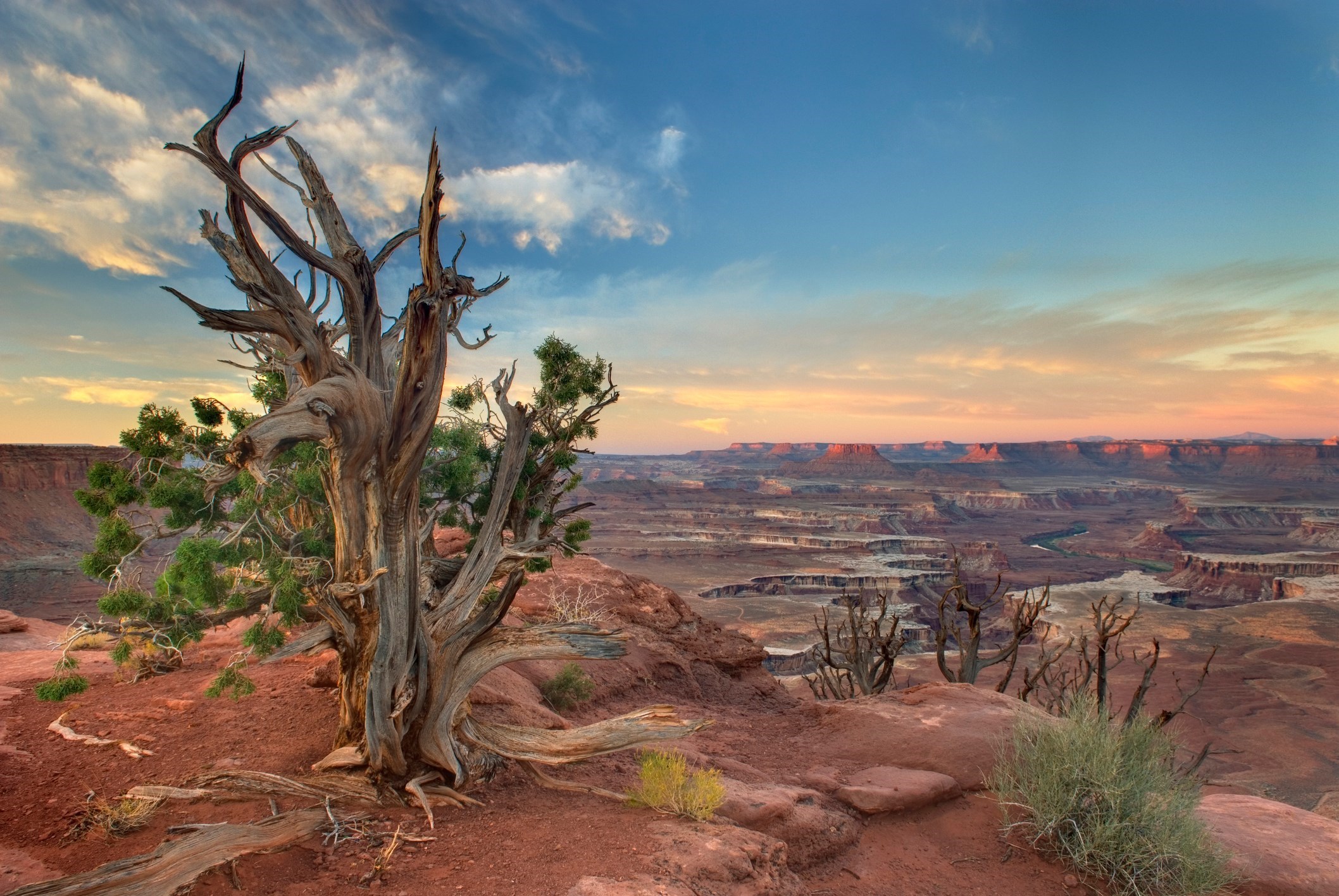 Arches Water Bottle – Canyonlands Natural History Association