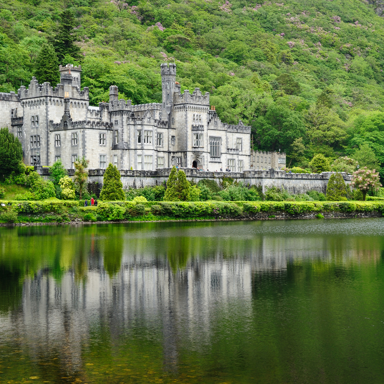 Irish Elegance