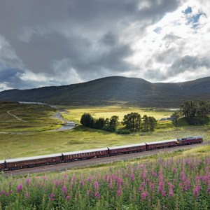 British Royale with the Royale Scotsman Luxury Tour