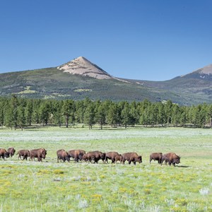 Ranches and Resorts of Colorado & New Mexico Luxury Tour