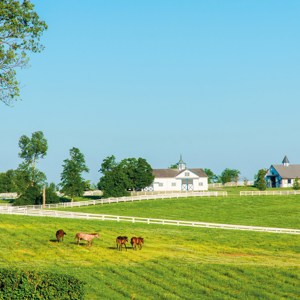 Sumptuous Soul of America Luxury Tour