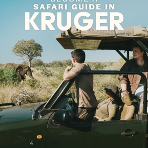 Become a Safari Guide in Kruger Tour
